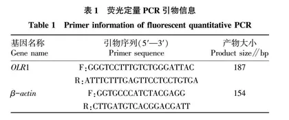 OLR1基因生信分析及其在贵州黑山羊和黔北麻羊性腺轴中的表达
