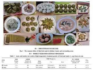 蕲艾食用历史追溯调查与安全性评价