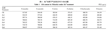 外源锌对气生铁兰抗寒生理特征的影响