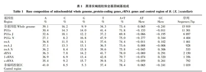 黑漆实蝇线粒体基因组基因结构分析