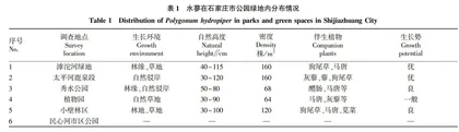 石家庄地区水蓼引种驯化及园林应用