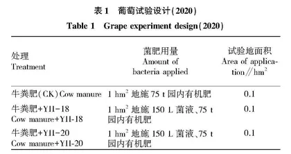 2株贝莱斯芽孢杆菌在上海葡萄上的应用