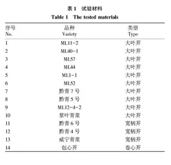 14个叶用芥菜营养成分及抗氧化能力分析