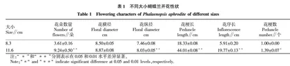 不同大小蝴蝶兰开花性状的相关性研究