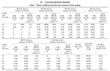 不同叶果比对沃柑果实分级和养分分配的影响