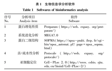 向日葵HaDGAT3基因的生物信息学和表达分析 