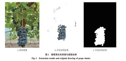 基于机器视觉的葡萄采摘域计算方法研究