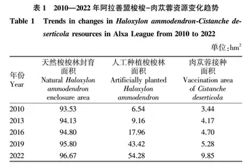 阿拉善盟肉苁蓉产业发展现状与对策