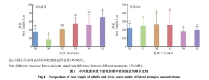 不同施氮处理对西藏绿肥植物幼苗根系生长的影响