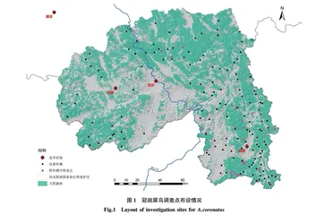 西双版纳冠斑犀鸟分布现状调查