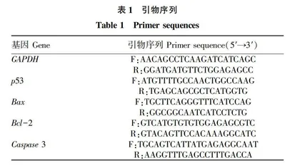 一株南方红豆杉内生菌HDSW的抗肿瘤活性研究