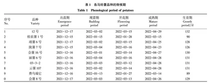 广西冬种马铃薯节肥品种筛选