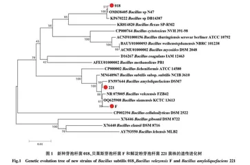 3株芽孢杆菌抗菌肽抑菌特性与抑菌谱研究
