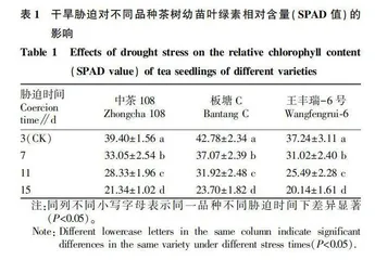 干旱胁迫对不同品种茶树幼苗生理特性的影响