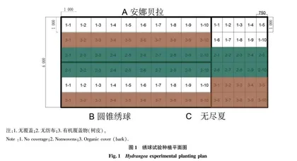 自然降温过程中北京地区3种绣球的耐寒性研究