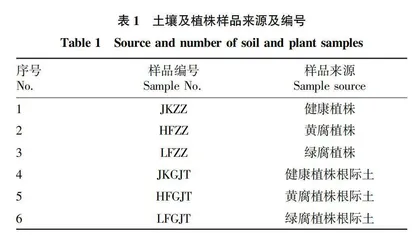 健康与患根腐病三七根际和根内微生物群落结构与多样性研究
