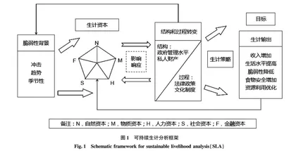 教育扶贫对脱贫地区农村大学生家庭生计进化效应分析