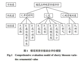 40个樱花品种在南昌地区的观赏价值综合评价