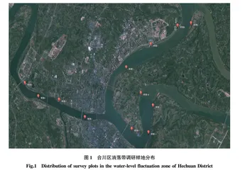 重庆市合川区消落带植被特征研究