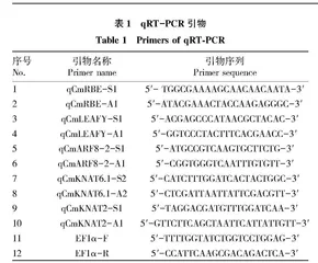 制样方法对菊花花蕾激光显微切割样品RNA提取质量的影响