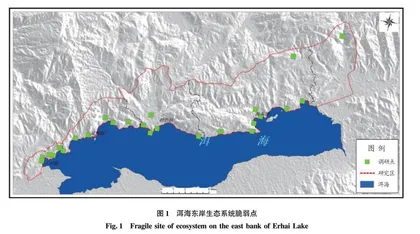 景感生态学在洱海东岸生态系统保护与修复中的应用研究