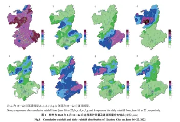 柳州2022年6月极端“龙舟水”持续暴雨过程分析