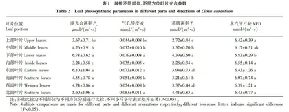 酸橙夏季光合作用特性研究
