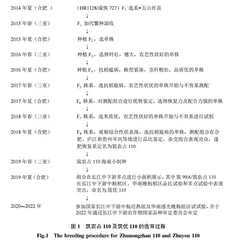 高产优质·抗稻瘟病和抗倒伏水稻新品种筑优110的选育