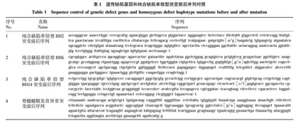 基于新疆乳用型褐牛遗传缺陷基因和致死单倍型检测应用效果研究