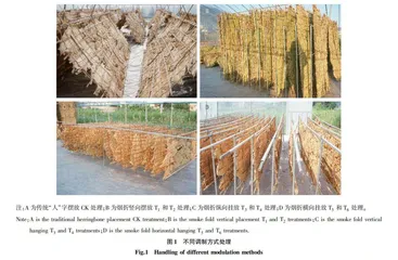 晒黄烟不同棚内调制方式对烟叶品质的影响