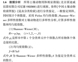 垦造耕地夏季不同有机肥对甘薯土壤大型动物群落的影响