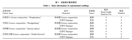 大青叶砧木对钟花樱品系樱花花期及抗寒性的影响