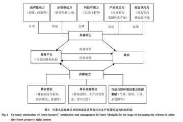 深化集体林权制度改革阶段内蒙古林农林业生产经营的动力机制