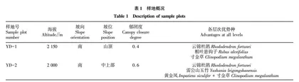 雷公山玉山竹群落特征和物种多样性研究