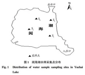 阅海湖生态环境需水研究