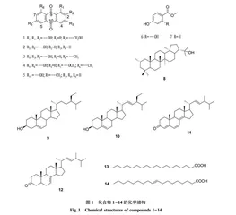 真姬菇次生代谢产物化学成分研究
