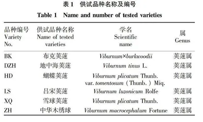 6种荚蒾属植物引种抗旱性评价