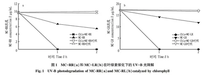 UV-B辐射下叶绿素和微囊藻毒素的协同降解效应研究