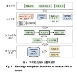 鸡常见疾病知识图谱构建及应用