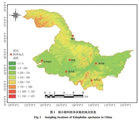 DNA条形码技术在黑龙江地区姬小蜂科物种鉴定中的应用与分析