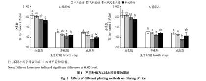 种植方式对优质籼稻产量和经济效益的影响