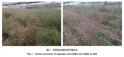 芦笋茎枯病菌致病机制的研究进展
