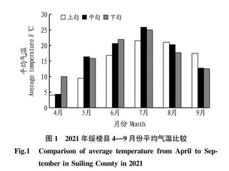 不同早熟水稻品种的适应性鉴定研究