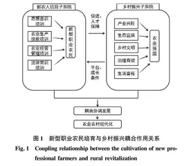 乡村振兴视角下新型职业农民培育路径研究