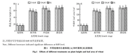 玉米秸秆还田配施腐熟剂对冬小麦生长和产量的影响