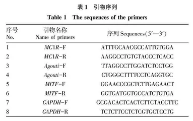 新疆山羊皮肤组织中MC1R•Agouti和MITF基因的差异表达研究