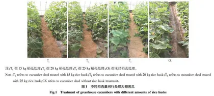 覆施稻壳对大棚黄瓜长势及防控黄瓜疫病的影响