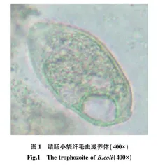 患腹泻症状食蟹猴寄生虫和致病菌鉴定与诊断