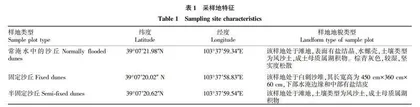 青土湖间断性水淹干扰对白刺沙丘土壤特性的影响