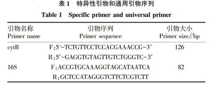羊肉中貉源成分Real-time PCR检测方法的建立